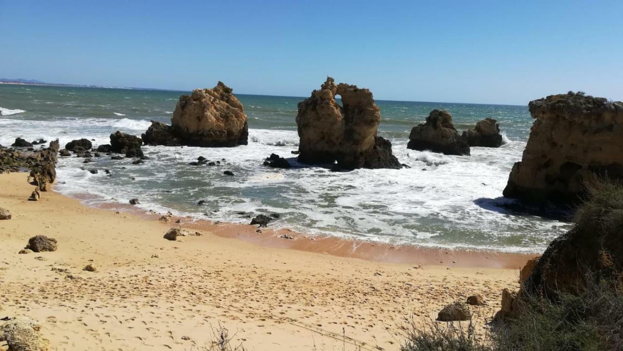Olimar Sea View Apartment Albufeira Eksteriør billede